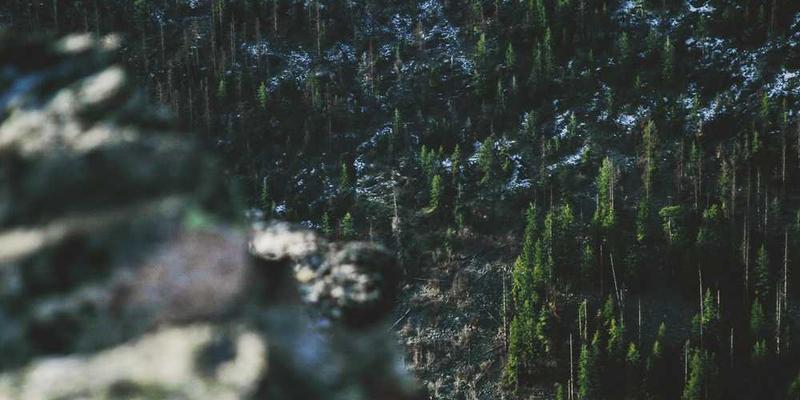 MLOps Best Practices for Production ML Systems